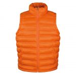 Result - Ice Bird Padded Gilet