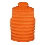 Result - Ice Bird Padded Gilet