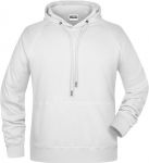 Men\'s Raglan Hooded Sweat, James & Nicholson