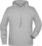 Men\'s Raglan Hooded Sweat, James & Nicholson