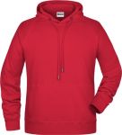 Men\'s Raglan Hooded Sweat, James & Nicholson
