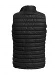 Men Padded Vest, Stedman