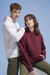 Unisex Hooded Sweatshirt, Sol`s Snake
