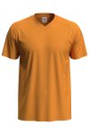 Classic V-Neck T-Shirt, Stedman