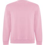 Unisex Organic Sweater, Roly Batian
