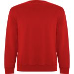 Unisex Organic Sweater, Roly Batian