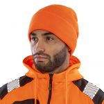 Thinsulate Lined Ski Hat, Result