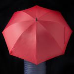 30" Golf Umbrella, Zeke