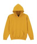 Youth Hooded Sweatshirt, Gildan Heavy Blend