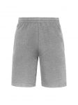 Men Shorts, Iconic 250, Fruit Of The Loom