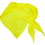 Bandana Roly Festero