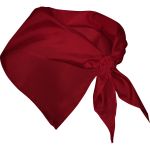Bandana Roly Festero