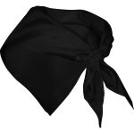 Bandana Roly Festero