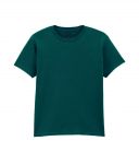 Gildan Softstyle Youth T-Shirt