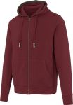 Unisex Hooded Sweater, Elevate Arora